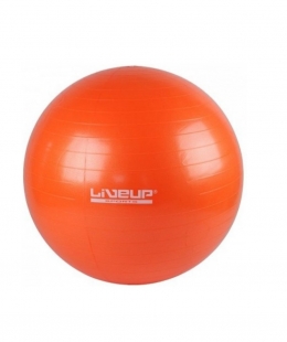 Фитбол GYM BALL 55 см LS3221-55o