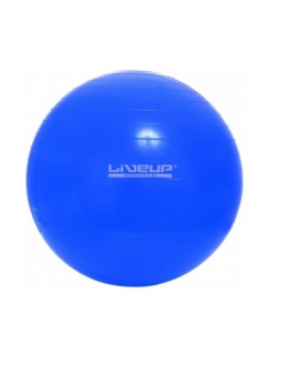 Фитбол GYM BALL 65 см LS3221-65b