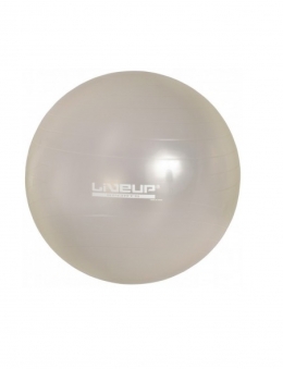 Фитбол GYM BALL 75см LS3221-75g