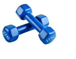 Гантели для фитнеса с виниловым покрытием 2.5 кг 2 шт.
