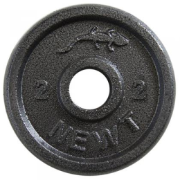 Диск стальной Newt Home 2 кг, диаметр - 30 мм