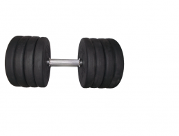 Гантель наборная 41.5 кг Newt CP