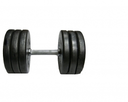 Гантель наборная 31.5 кг Newt CP