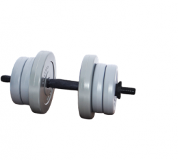 Гантель серии Gray 11 кг