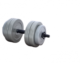 Гантель серии Gray 13 кг