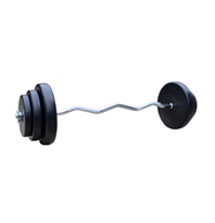 Битумная W-штанга 40 кг