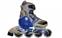 Роликовые коньки Zel Z-432