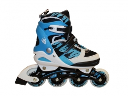 Роликовые коньки Zel Z-600