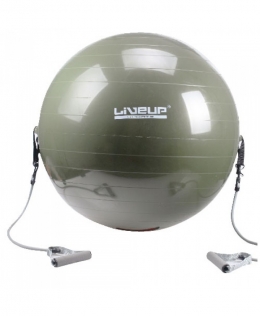 Фитбол с эспандером GYM BALL WITH EXPANDER 65см LS3227