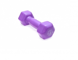 ГАНТЕЛИ ДЛЯ ФИТНЕСА И АЭРОБИКИ ОБРЕЗИНЕННЫЕ POWER SYSTEM 2 KG PS-4025 PURPLE (1 ШТ) 