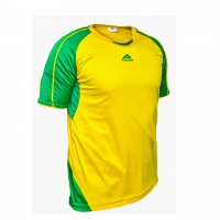 Форма футбольная practic GY01 m желто-зеленаякупити у Київі