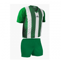 Форма футбольная practic GW02 m зелено-белаякупить в Киеве