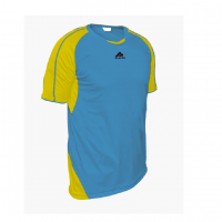 Форма футбольная practic YB01 L желто-голубаякупить в Киеве