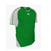 Форма футбольная practic GW01 XL зелено-белаякупить в Киеве