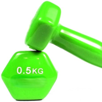 Комплект виниловых гантелей  Green 2 шт по 0,5 кг 