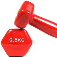 Комплект виниловых гантелей Red 2 шт по 0,5 кг 