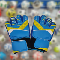 Рукавиці воротарські TOPH-160424 р.6 SB синікупити у Київі