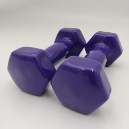 Комплект вінілових гантелей 2 шт. по 2 кг.